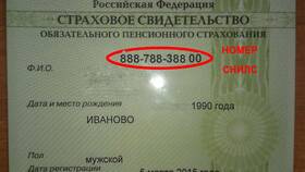 Что означает номер СНИЛС в Мелодия здоровья
