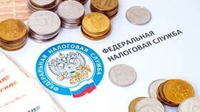 Что такое денежный налог в Мелодия здоровья