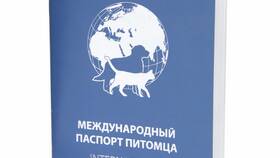 Что значит паспорт животного