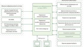 Документ как информационная система в Мелодия здоровья