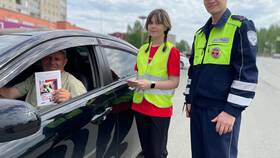 Функции и задачи ДПС ГИБДД в Мелодия здоровья