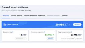 Как получить баланс юридического лица в Мелодия здоровья