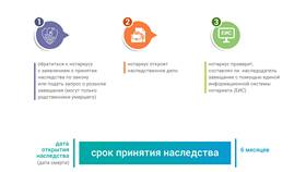Как понять, что заявление подано в Мелодия здоровья