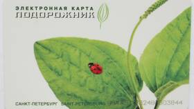 Как пополнить карту 