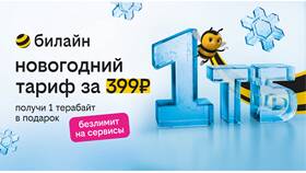 Как приобрести дополнительные гигабайты на Билайне в Мелодия здоровья