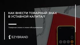 Как внести вклад в имущество ООО в Мелодия здоровья