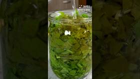 Как заготовить щавель на зиму в банках в Мелодия здоровья