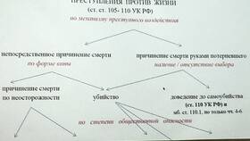 Признаки имущества как предмета хищения в Мелодия здоровья