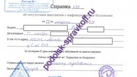 Справка об эпидокружении: что это в Мелодия здоровья