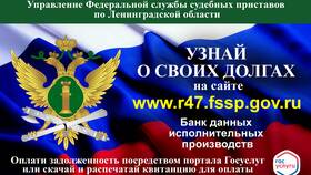 Сроки рассмотрения ходатайств в ФССП через Госуслуги в Мелодия здоровья