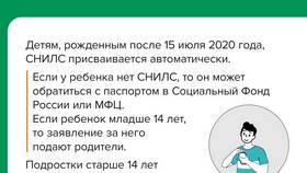 Зачем нужен СНИЛС при приеме на работу в Мелодия здоровья