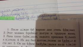 Значение и функции приставки 