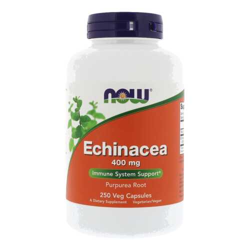 Добавка для иммунитета NOW Echinacea Root 250 капс. натуральный в Мелодия здоровья